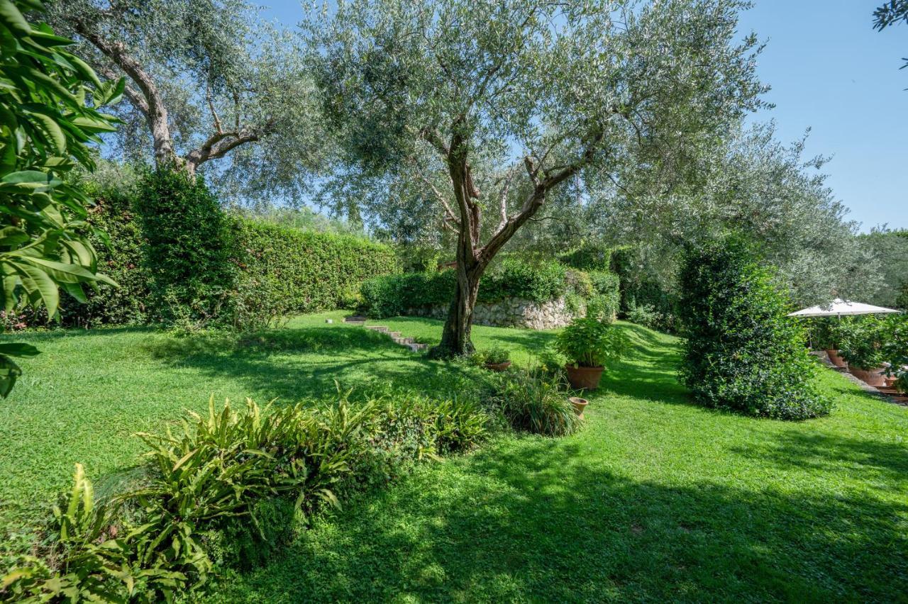 Villa Eden Forte Dei Marmi With Private Infinity Pool 산타 루치아 외부 사진