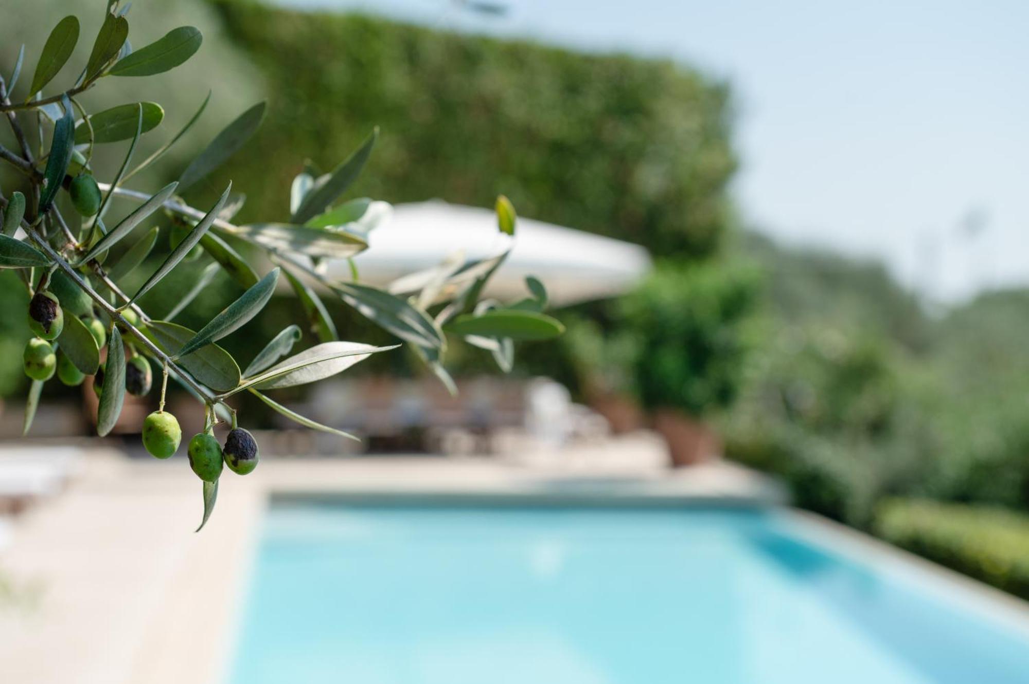 Villa Eden Forte Dei Marmi With Private Infinity Pool 산타 루치아 외부 사진
