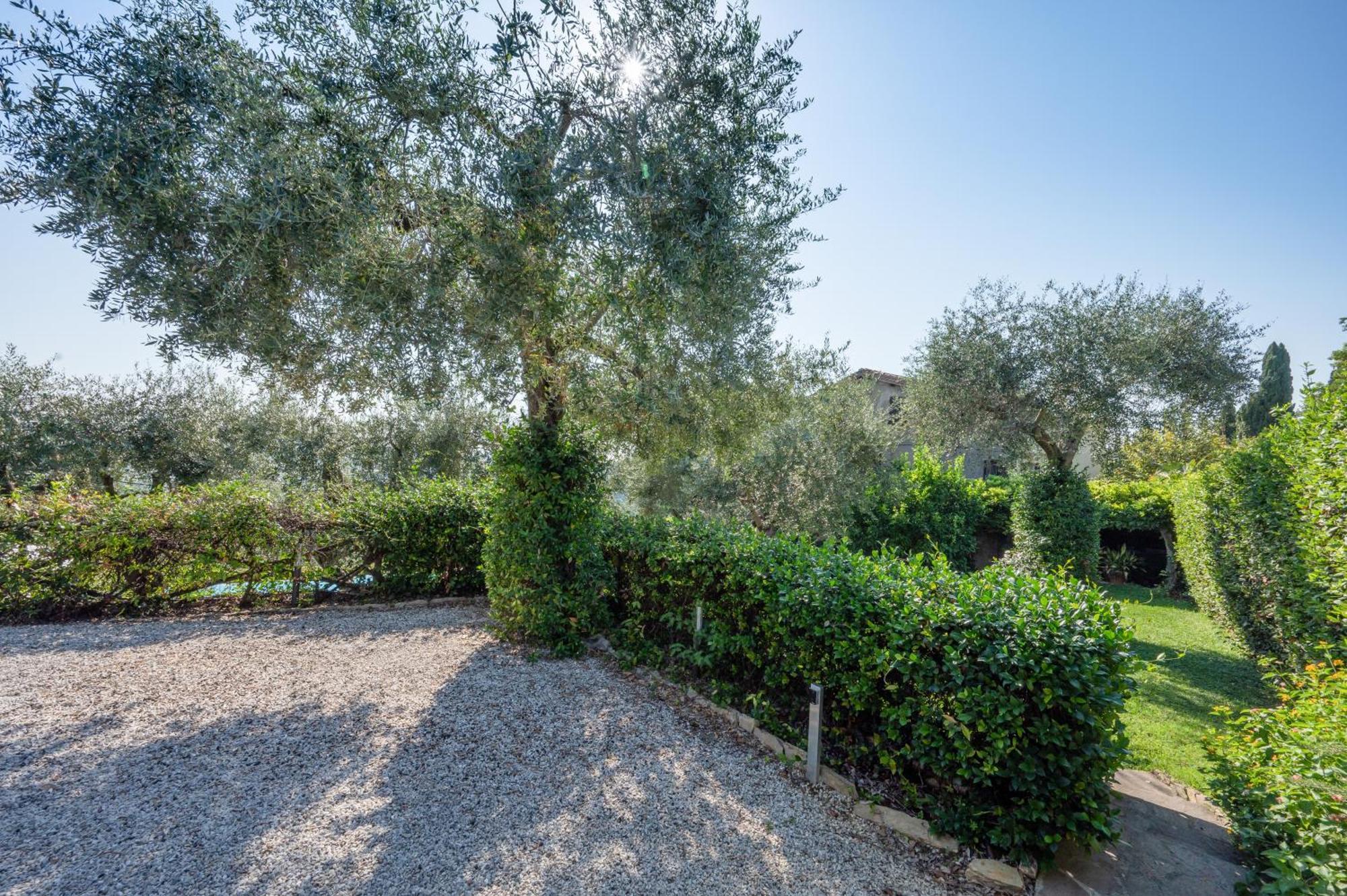 Villa Eden Forte Dei Marmi With Private Infinity Pool 산타 루치아 외부 사진